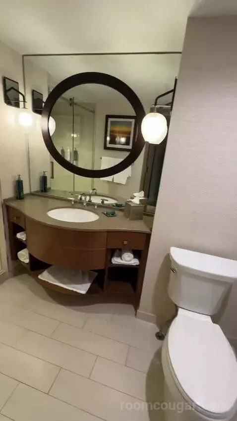 Terrace Suite bathroom picture #5