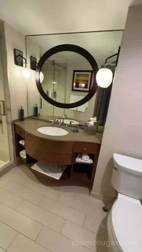Terrace Suite bathroom picture #6