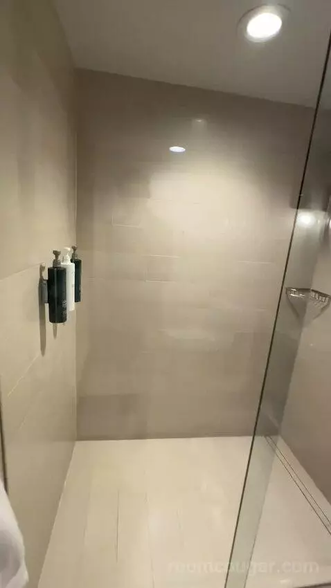 Terrace Suite bathroom picture #7