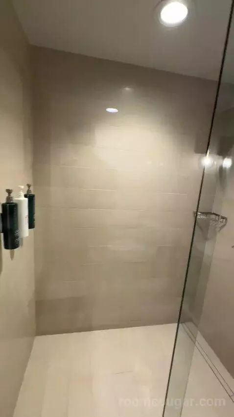 Terrace Suite bathroom picture #9