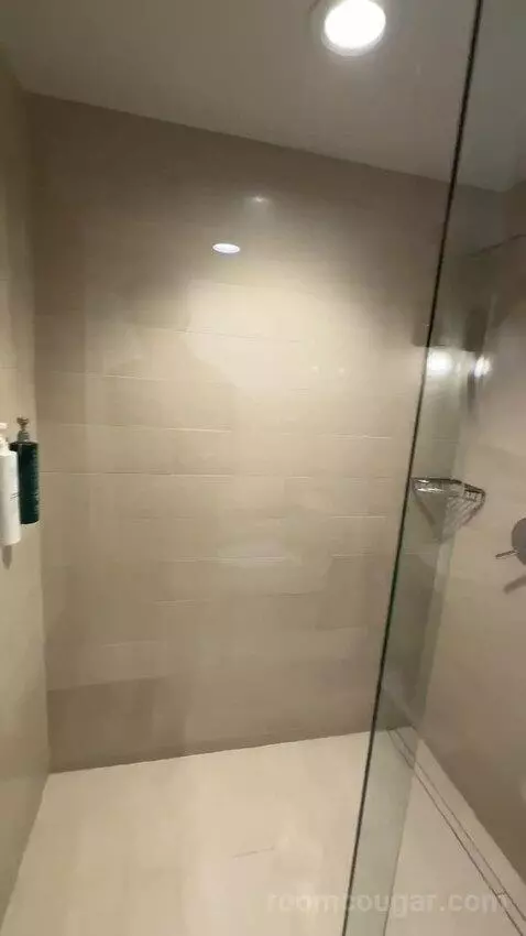 Terrace Suite bathroom picture #10