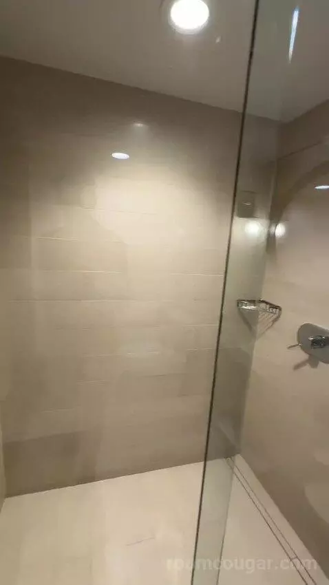 Terrace Suite bathroom picture #11
