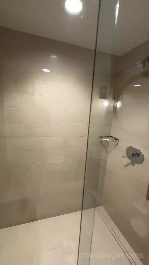 Terrace Suite bathroom picture #12