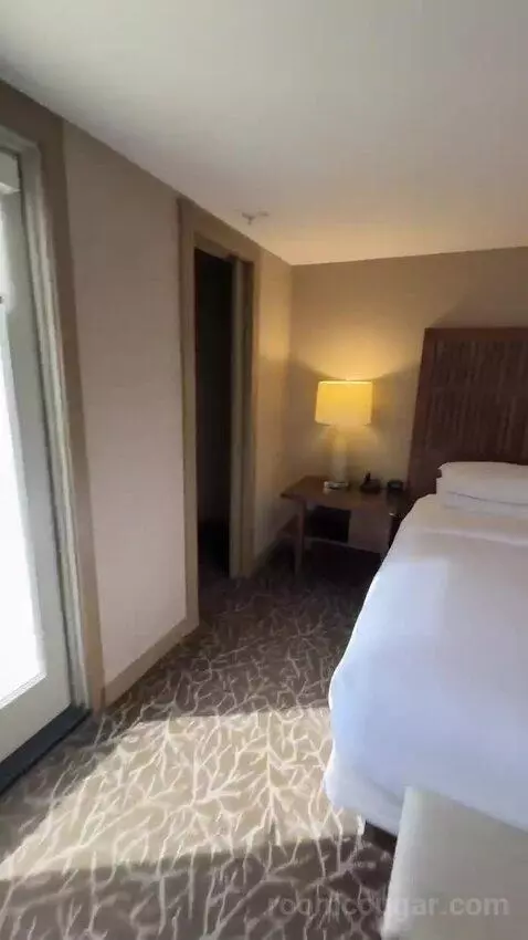 Terrace Suite bed picture #8
