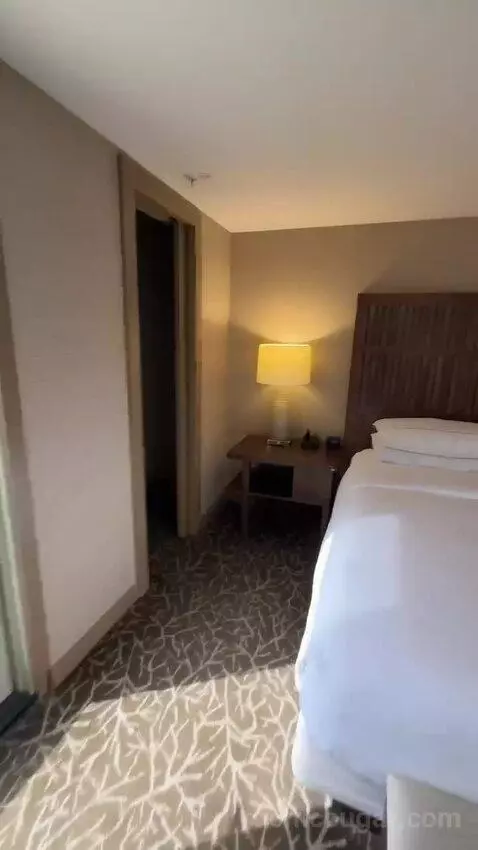 Terrace Suite bed picture #9