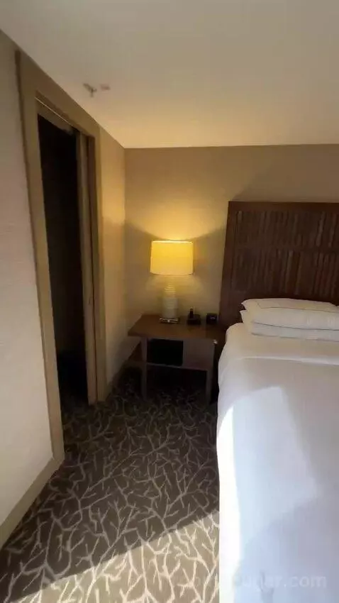 Terrace Suite bed picture #11