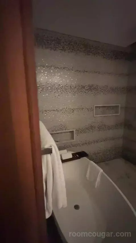 Superior King Suite with Downtown View Including Signature St. Regis Butler Service (#2019) bathroom picture #1