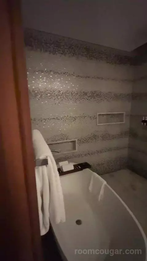 Superior King Suite with Downtown View Including Signature St. Regis Butler Service (#2019) bathroom picture #2