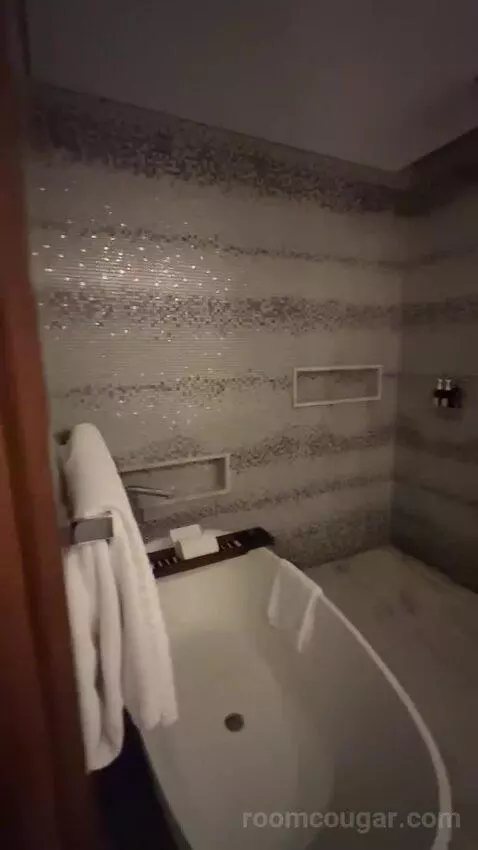 Superior King Suite with Downtown View Including Signature St. Regis Butler Service (#2019) bathroom picture #3