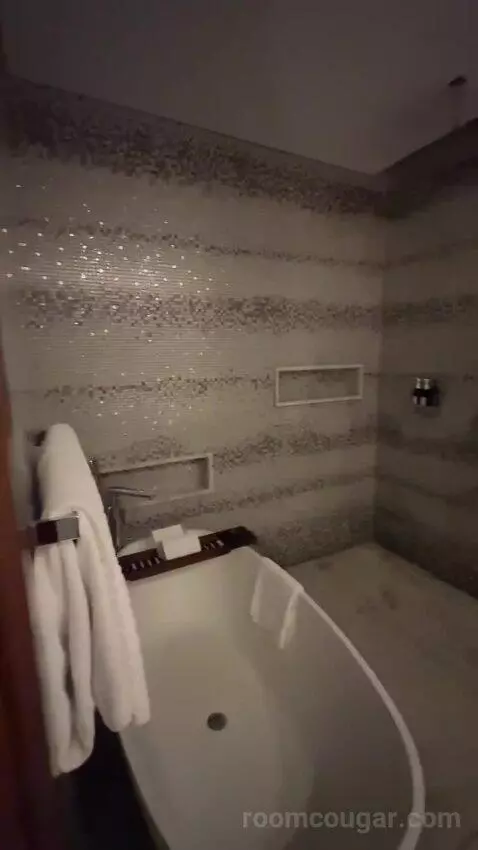 Superior King Suite with Downtown View Including Signature St. Regis Butler Service (#2019) bathroom picture #4