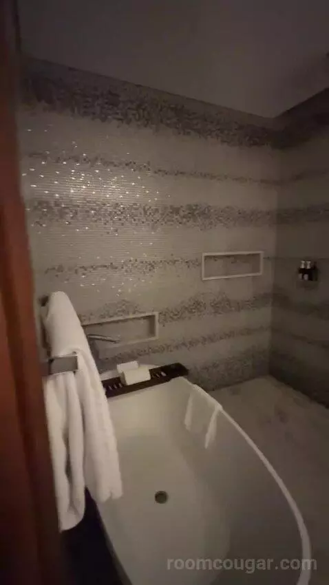 Superior King Suite with Downtown View Including Signature St. Regis Butler Service (#2019) picture #14
