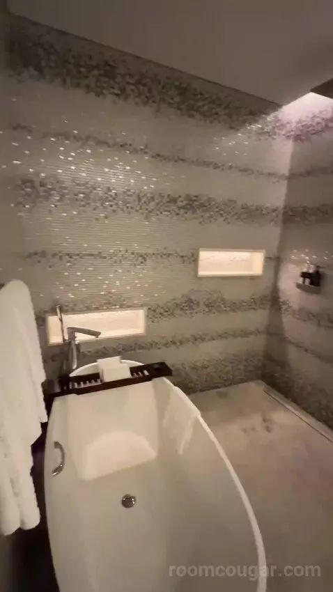 Superior King Suite with Downtown View Including Signature St. Regis Butler Service (#2019) bathroom picture #7