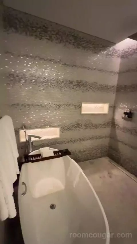 Superior King Suite with Downtown View Including Signature St. Regis Butler Service (#2019) picture #18