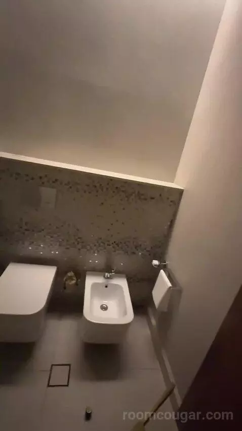 Superior King Suite with Downtown View Including Signature St. Regis Butler Service (#2019) bathroom picture #9