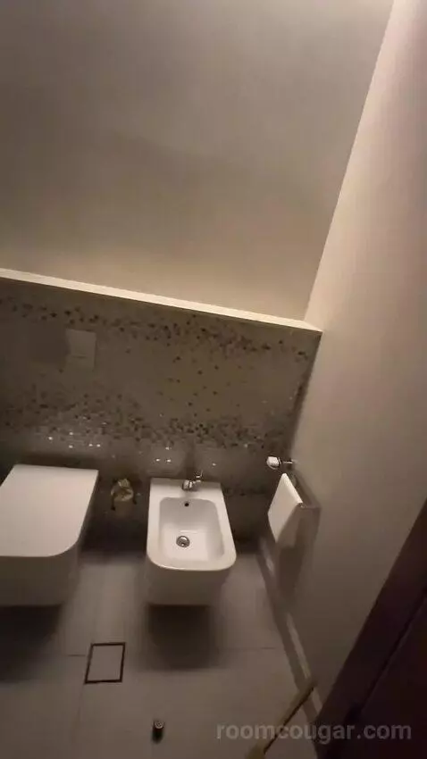 Superior King Suite with Downtown View Including Signature St. Regis Butler Service (#2019) bathroom picture #10