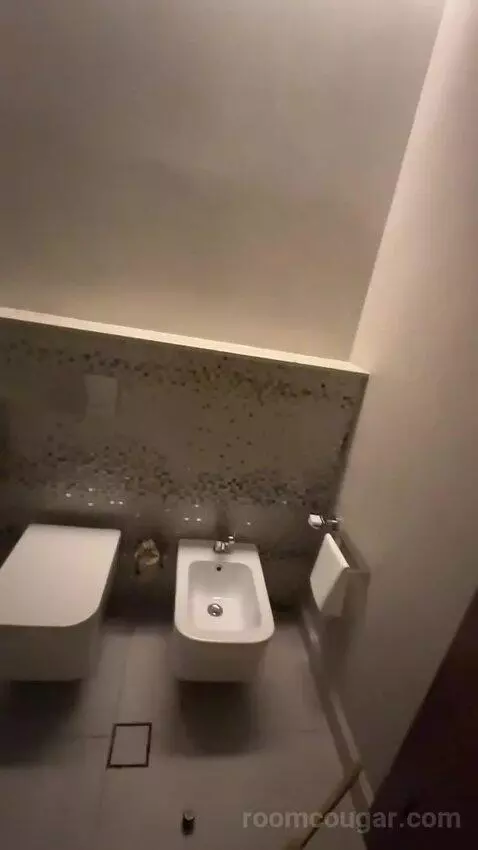 Superior King Suite with Downtown View Including Signature St. Regis Butler Service (#2019) bathroom picture #11