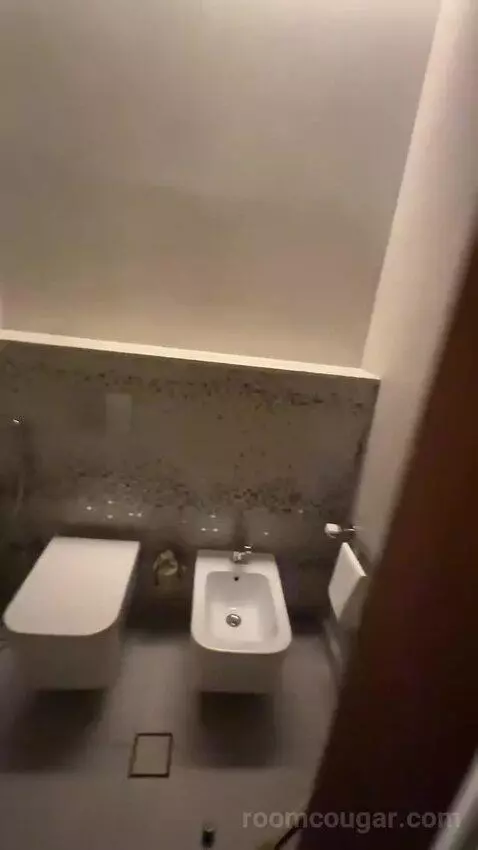 Superior King Suite with Downtown View Including Signature St. Regis Butler Service (#2019) bathroom picture #12