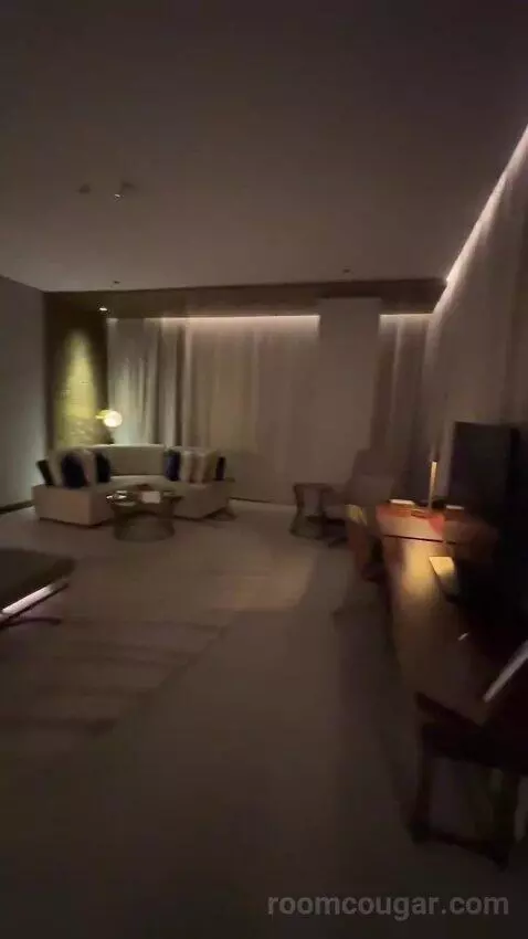 Superior King Suite with Downtown View Including Signature St. Regis Butler Service (#2019) picture #6