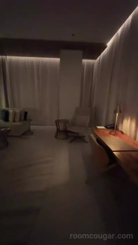 Superior King Suite with Downtown View Including Signature St. Regis Butler Service (#2019) picture #7