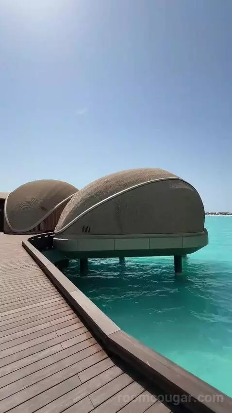2 Bedroom Overwater Villa picture #2
