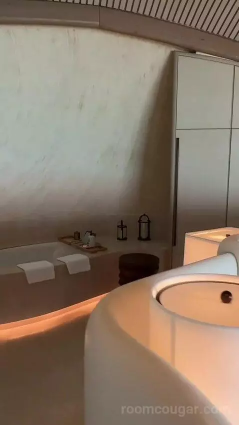 2 Bedroom Overwater Villa bathroom picture #3