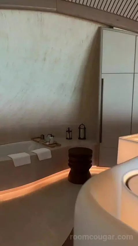 2 Bedroom Overwater Villa bathroom picture #4