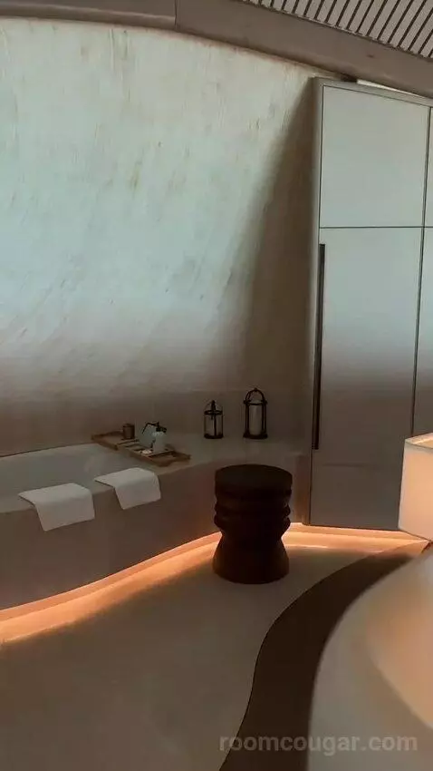 2 Bedroom Overwater Villa bathroom picture #5