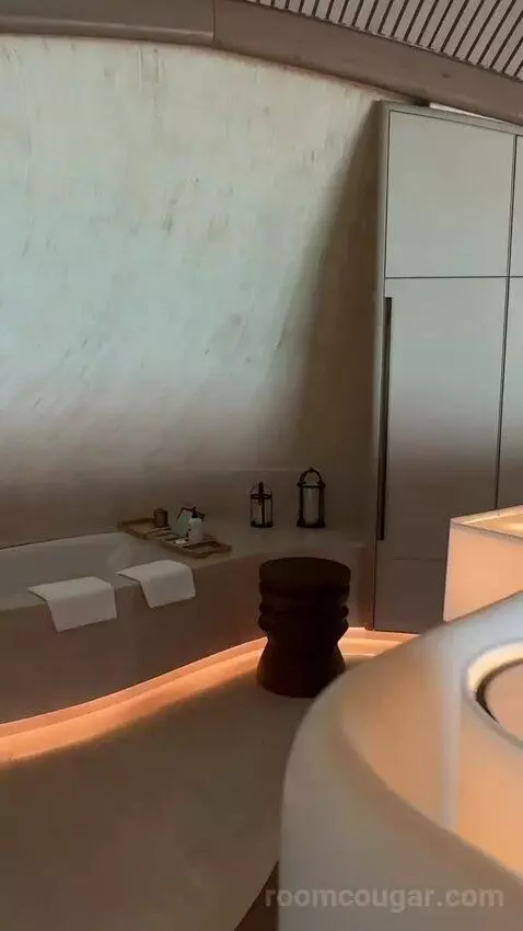 2 Bedroom Overwater Villa picture #14