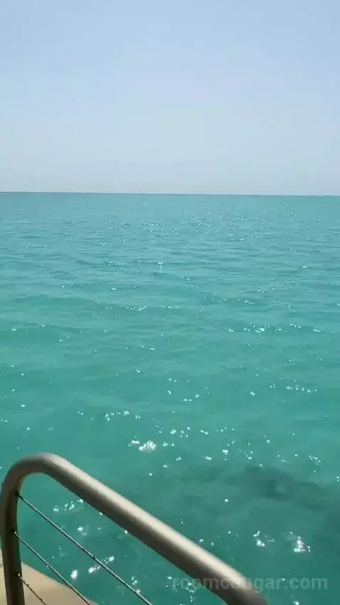 2 Bedroom Overwater Villa view picture #9