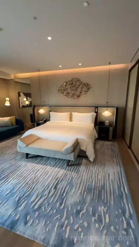 St. Regis Suite, 1 Bedroom Suite, 1 King, City View (#236) bed picture #4