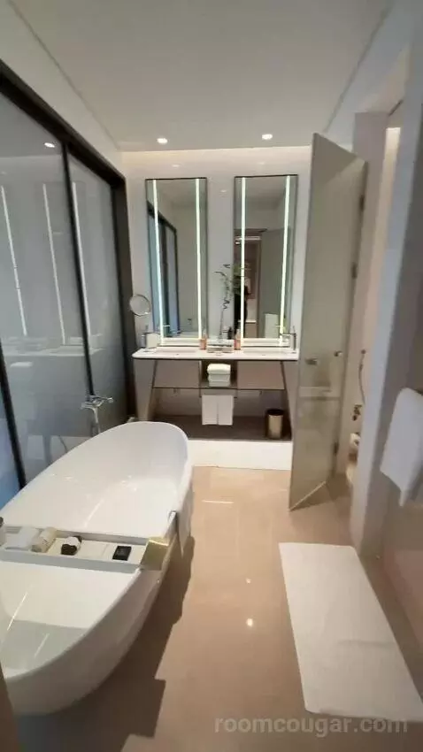 St. Regis Suite, 1 Bedroom Suite, 1 King, City View (#236) bathroom picture #5