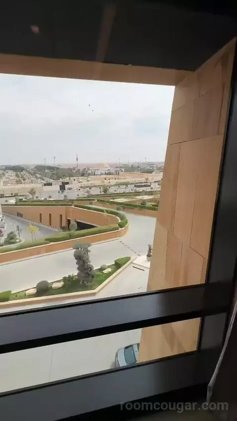 St. Regis Suite, 1 Bedroom Suite, 1 King, City View (#236) view picture #5