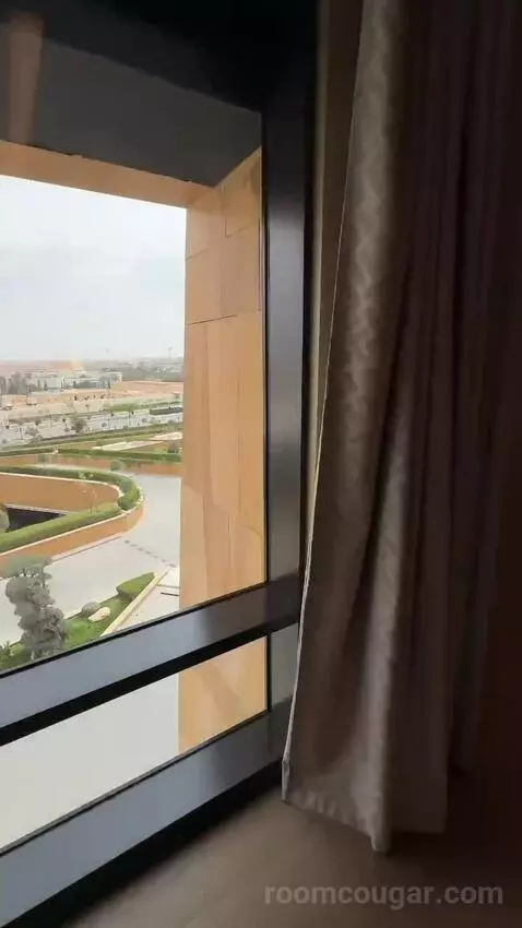 St. Regis Suite, 1 Bedroom Suite, 1 King, City View (#236) view picture #9