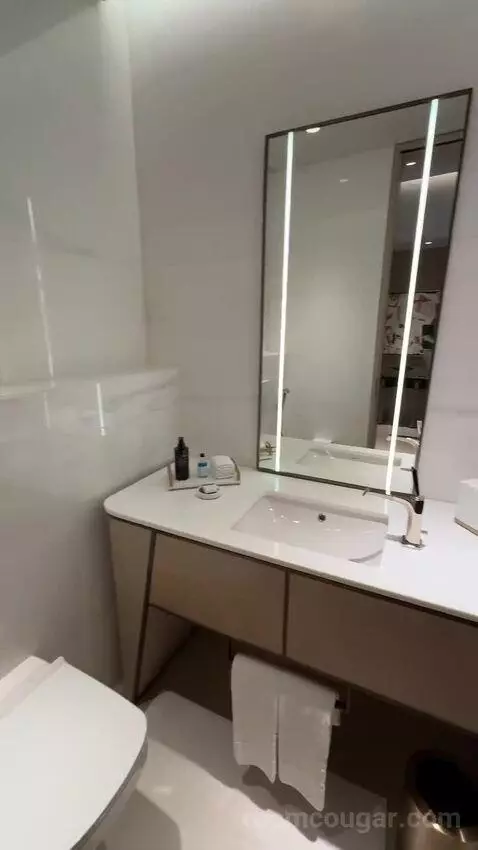 St. Regis Suite, 1 Bedroom Suite, 1 King, City View (#236) bathroom picture #7