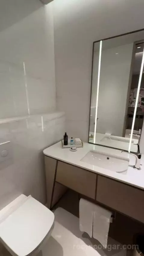St. Regis Suite, 1 Bedroom Suite, 1 King, City View (#236) bathroom picture #8