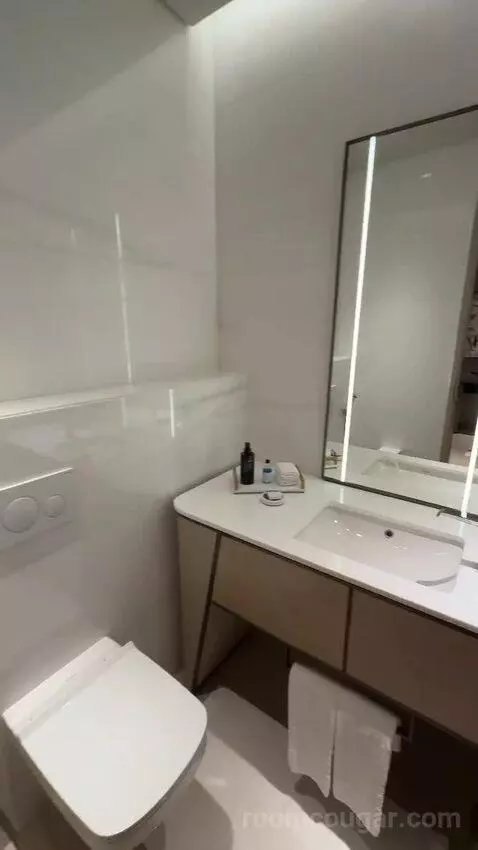 St. Regis Suite, 1 Bedroom Suite, 1 King, City View (#236) bathroom picture #9