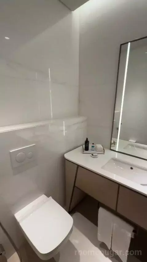 St. Regis Suite, 1 Bedroom Suite, 1 King, City View (#236) bathroom picture #10