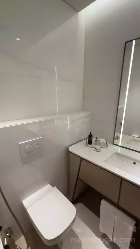 St. Regis Suite, 1 Bedroom Suite, 1 King, City View (#236) bathroom picture #11