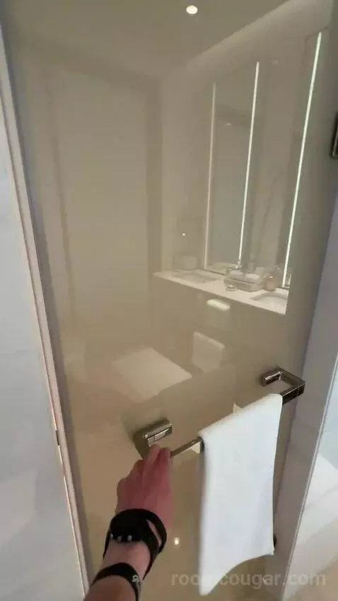 Deluxe Double Room with Two Double Beds and City View (#238) bathroom picture #11