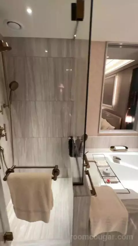 Premium Room King Bed (#4814) bathroom picture #7