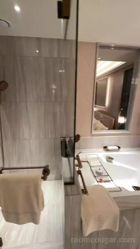 Premium Room King Bed (#4814) bathroom picture #8