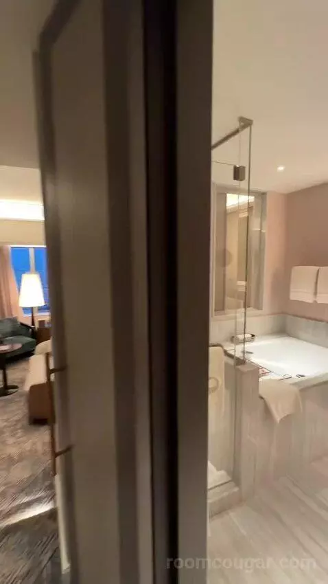 Four Seasons Suite King Bed (#4818) bathroom picture #1