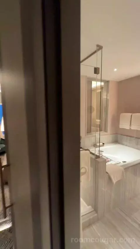 Four Seasons Suite King Bed (#4818) bathroom picture #2
