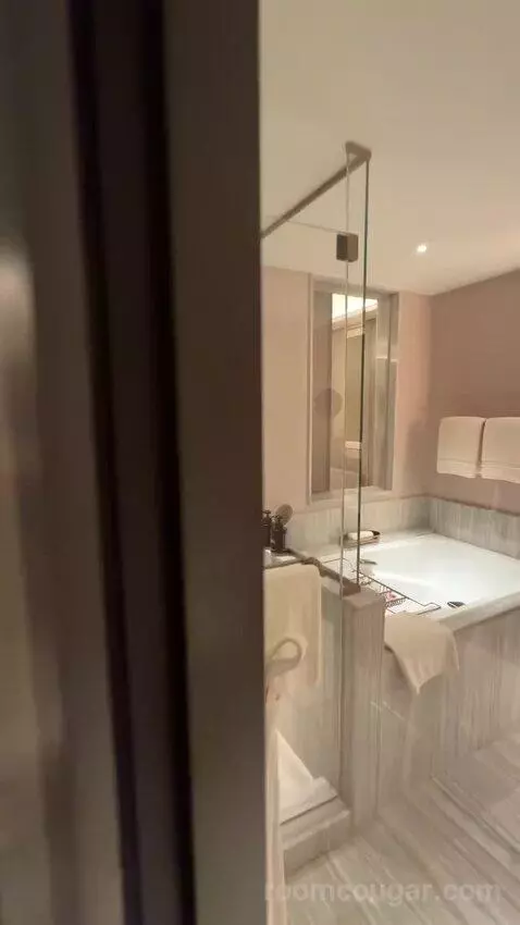 Four Seasons Suite King Bed (#4818) bathroom picture #3