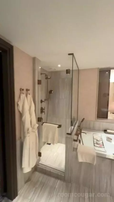 Four Seasons Suite King Bed (#4818) bathroom picture #10