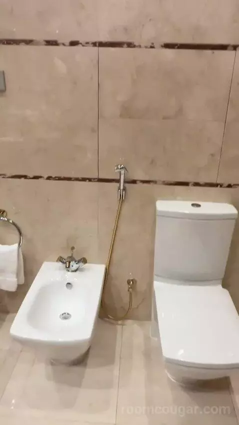 Superior King Room bathroom picture #11