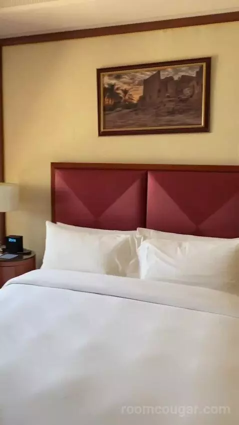 Superior King Room bed picture #5