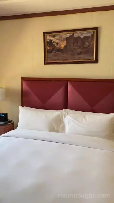 Superior King Room bed picture #6