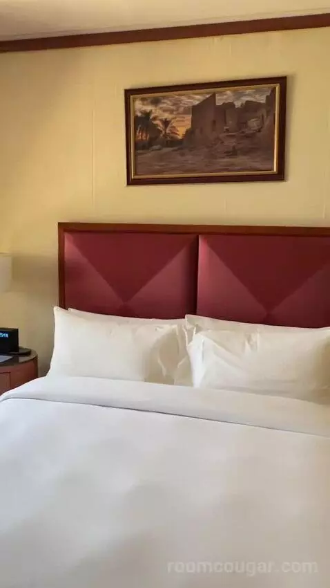 Superior King Room bed picture #7