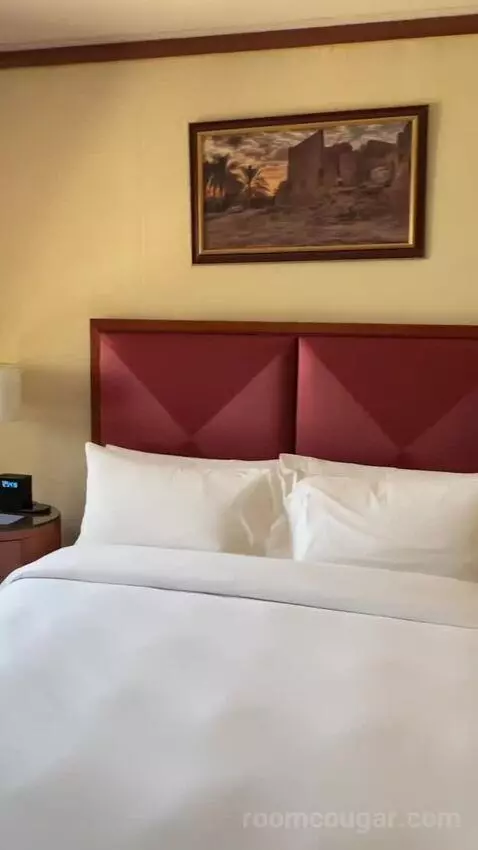 Superior King Room bed picture #8